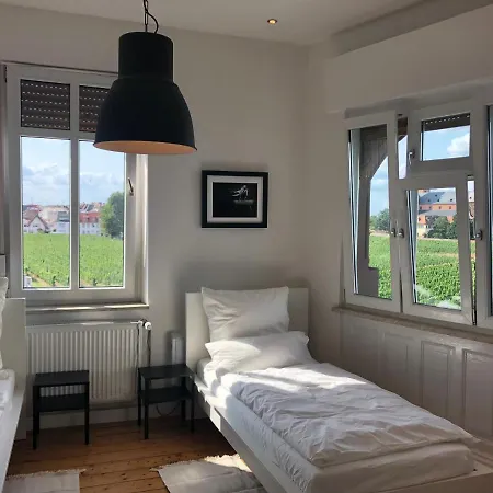Luxe Apartment Am Rhein Worms Exterior photo